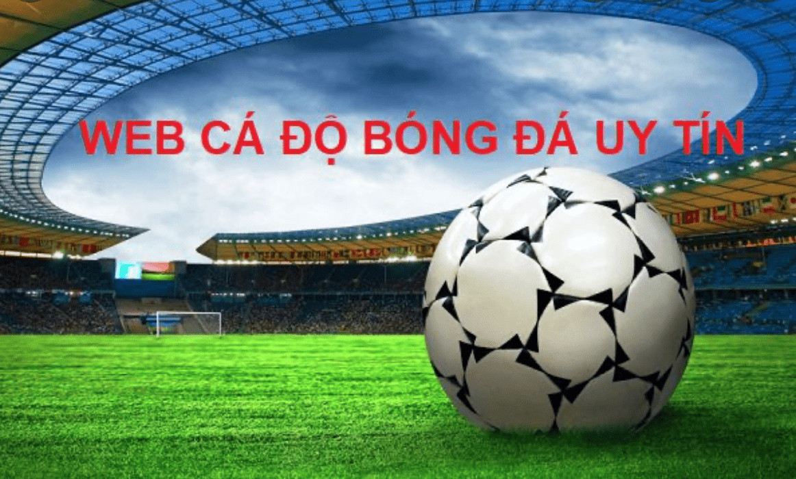 Một số cách tìm các địa chỉ cá cược bóng đá uy tín Mot so cach tim cac dia chi ca cuoc bong da uy tin