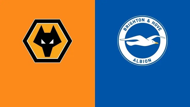 Soi kèo BóngVIP - Trận Wolves vs Brighton – 05/11/2022 – Giải Ngoại Hạng Anh soi keo bongvip - tran wolves vs brighton – 05/11/2022 – giai ngoai hang anh